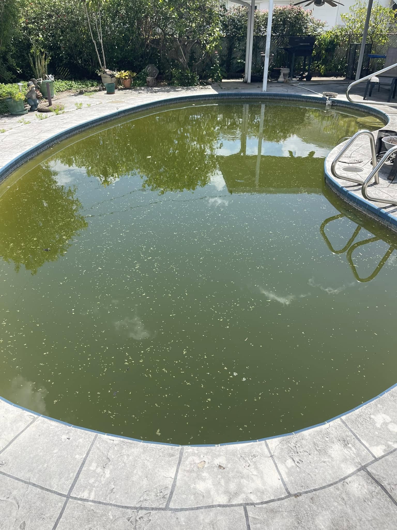 Before and after comparison of a dirty pool transformed to clear blue water
