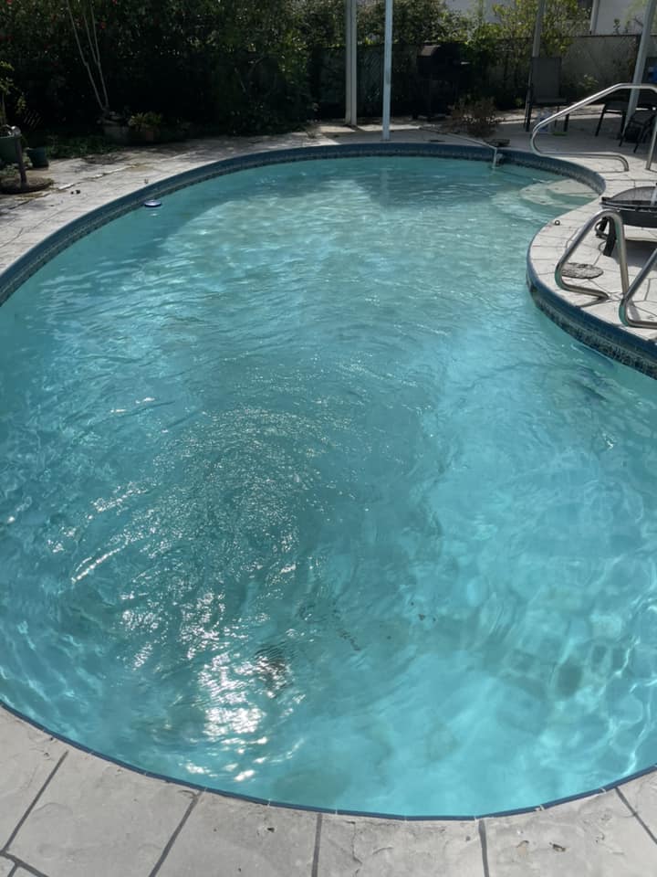 Algae‑covered pool restored to clean, clear water